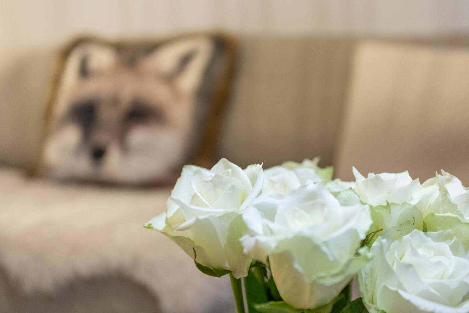 רובניימי Vasko Luxurious Suites, Luppo מראה חיצוני תמונה